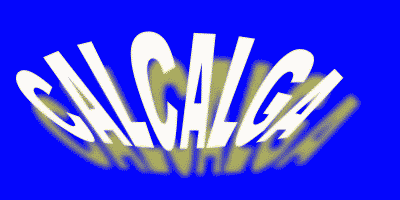 Modern and fossil calcareous algae