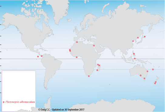 Distribution de Phoronopsis albomaculata