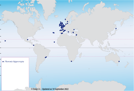 Distribution of P. hippocrepia