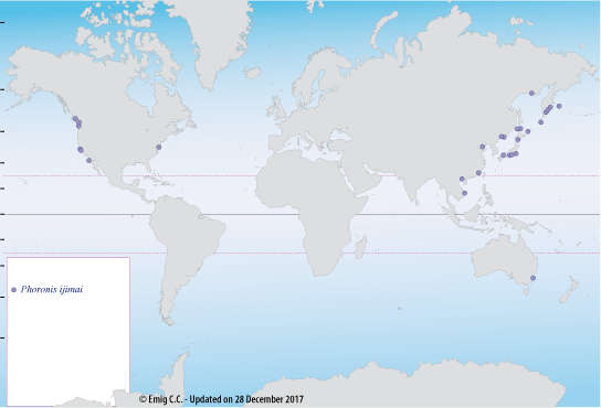 Distribution of P. ijimai