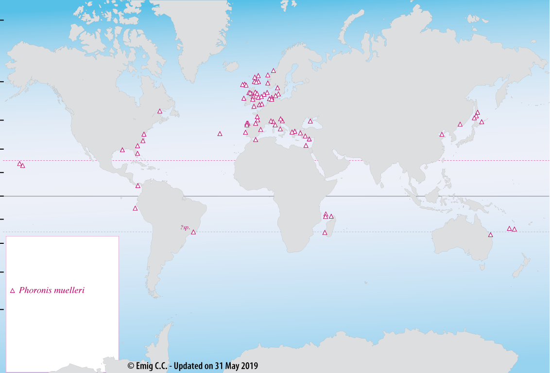 Distribution de P. muelleri