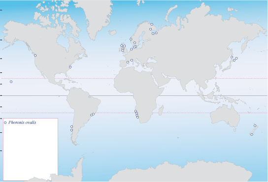  distribución de P. ovalis