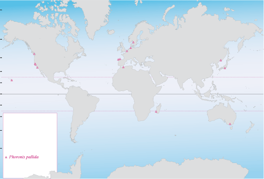 Distribution de P. pallida