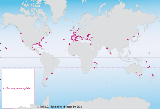 Distribution of P. psammophila