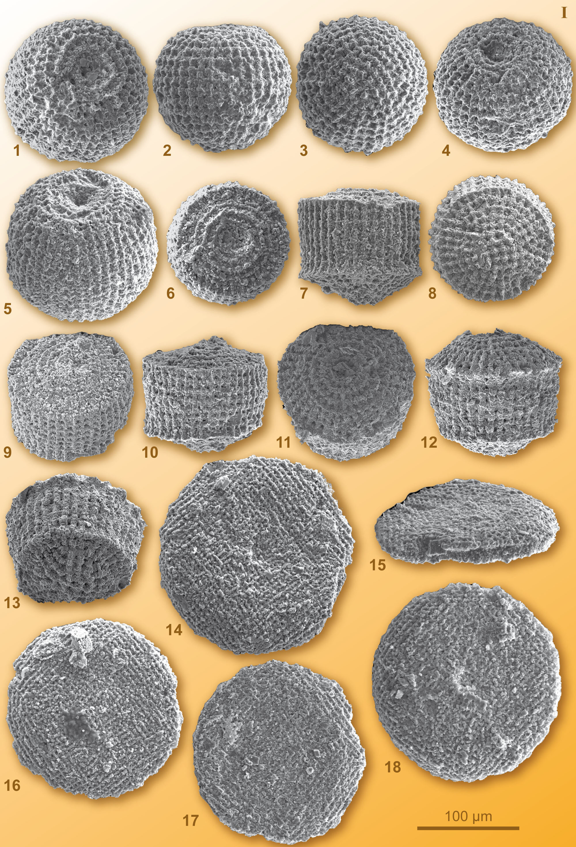 CG2008_M01_Plate_01C