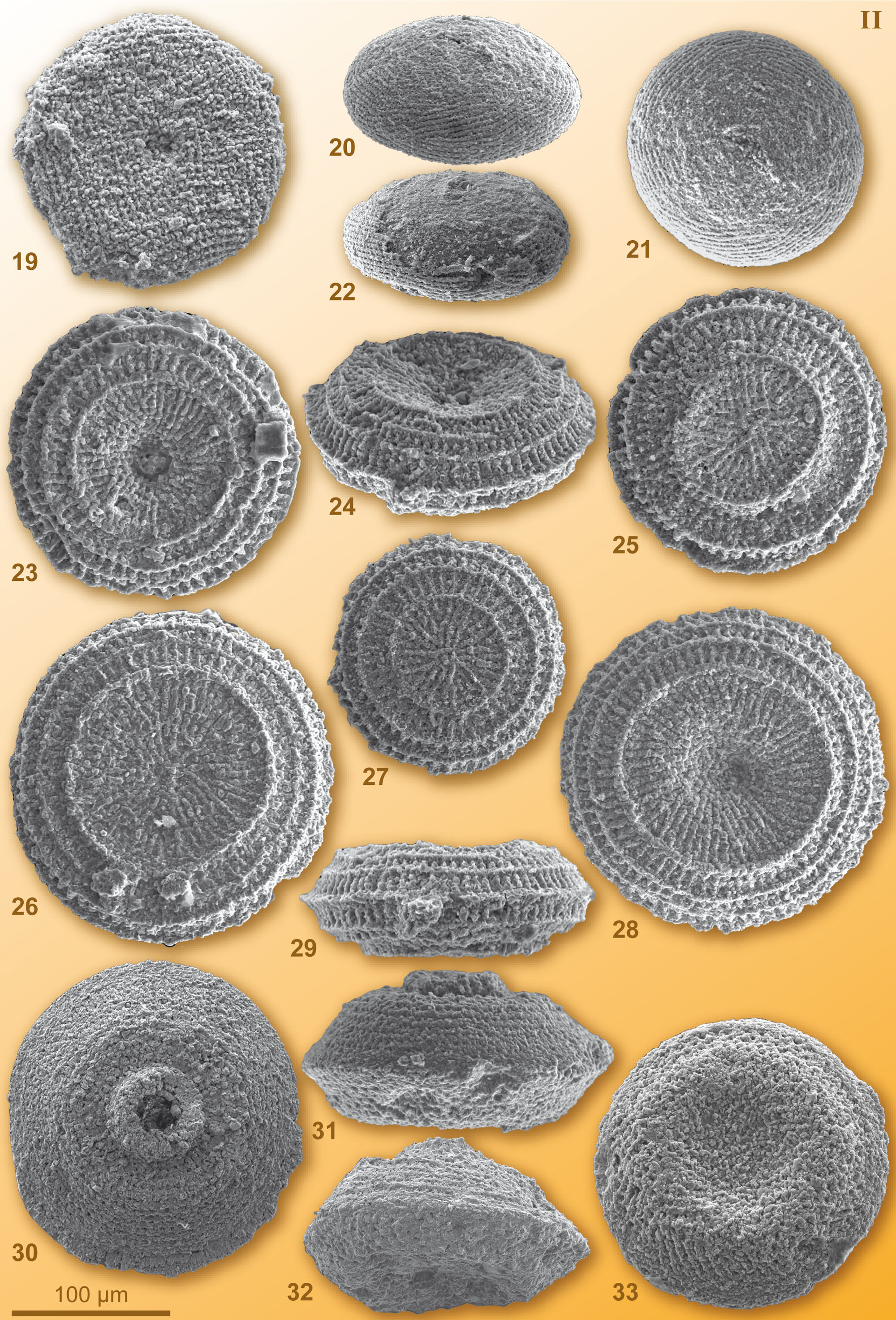 CG2008_M01_Plate_02C