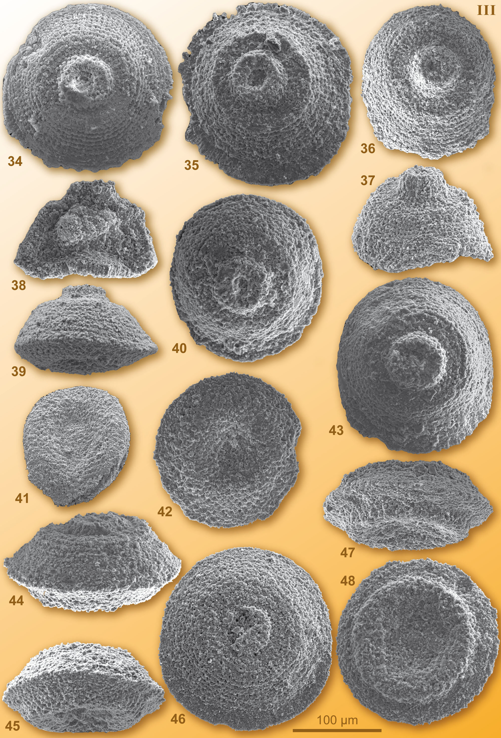 CG2008_M01_Plate_03C