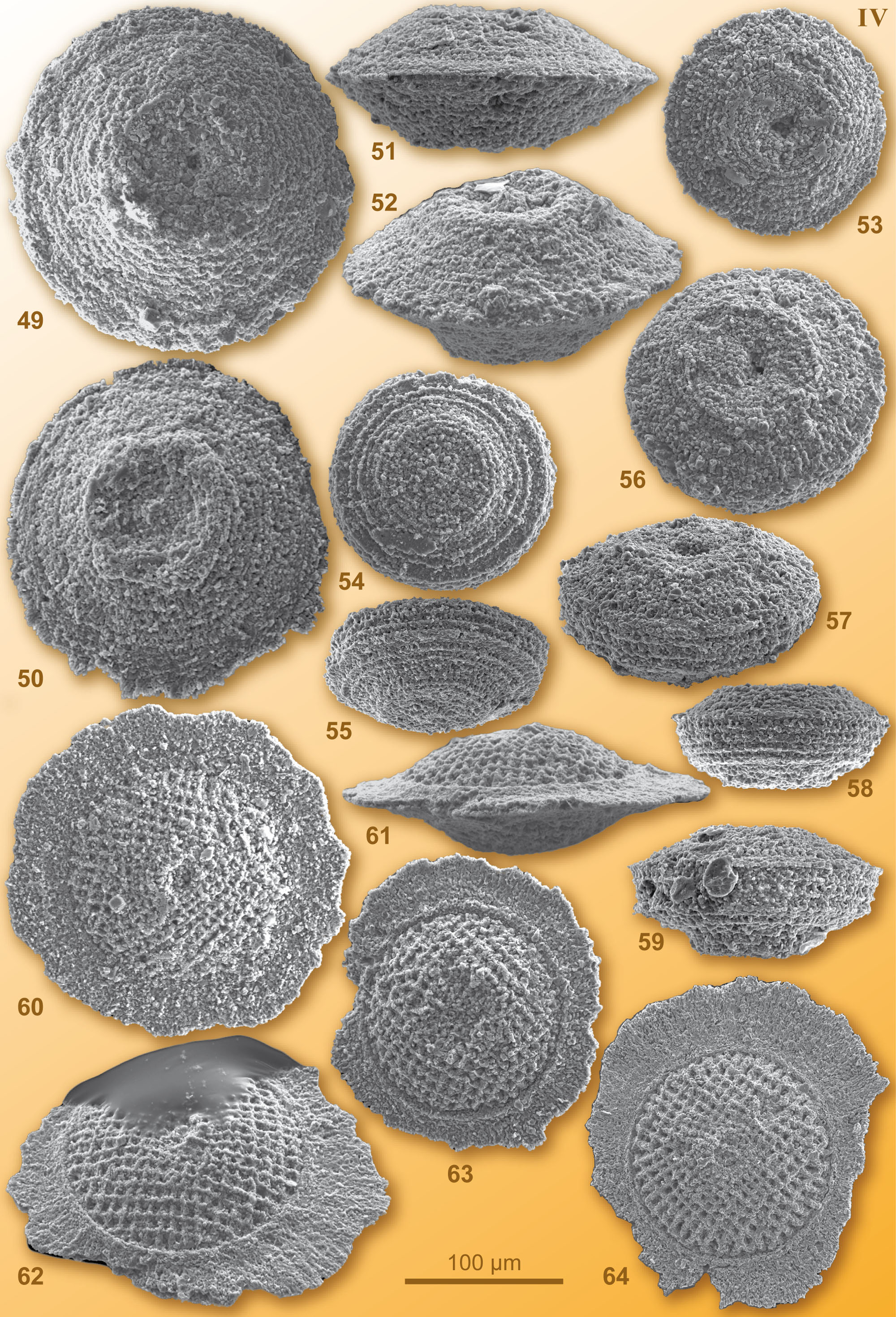 CG2008_M01_Plate_04C