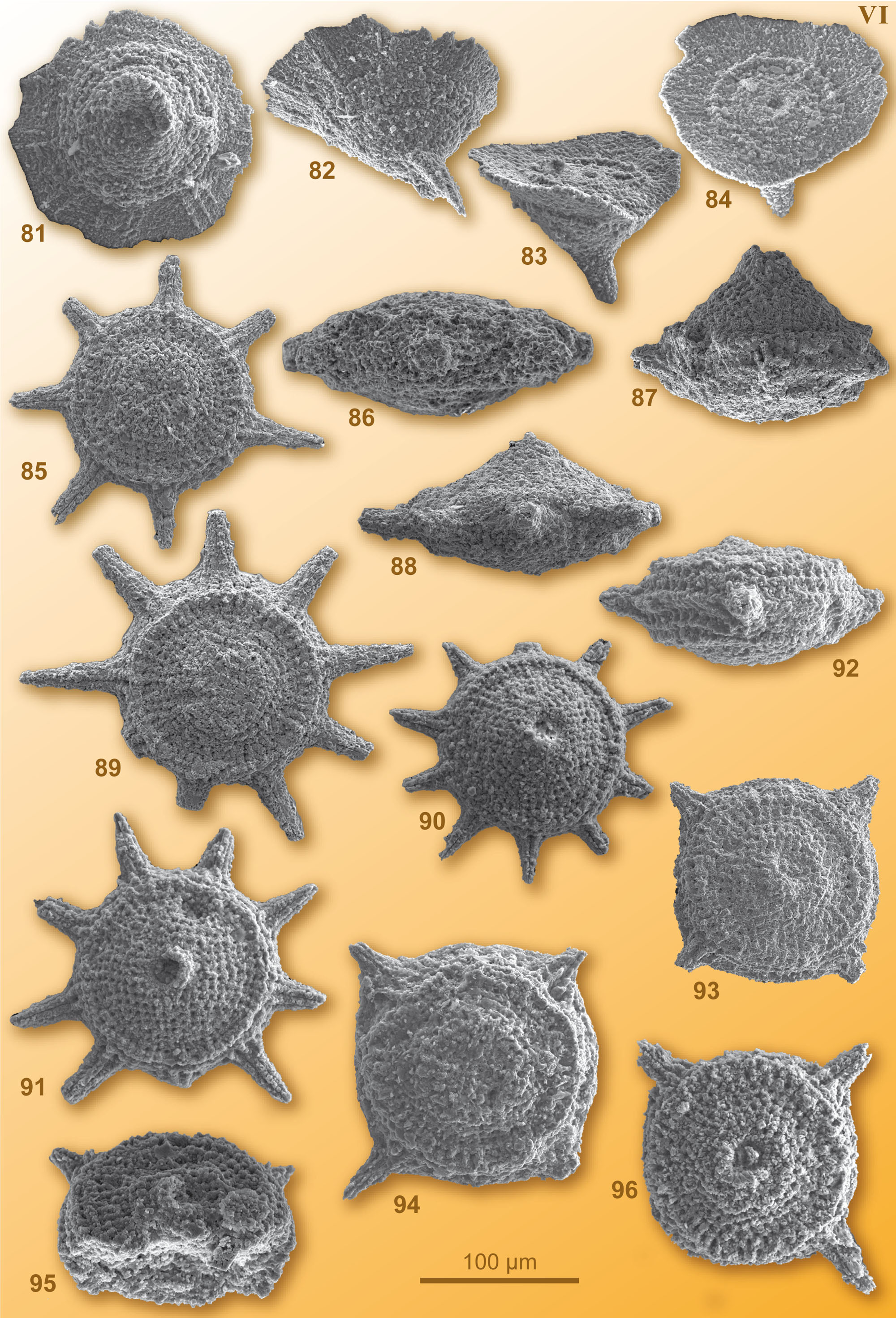 CG2008_M01_Plate_06C