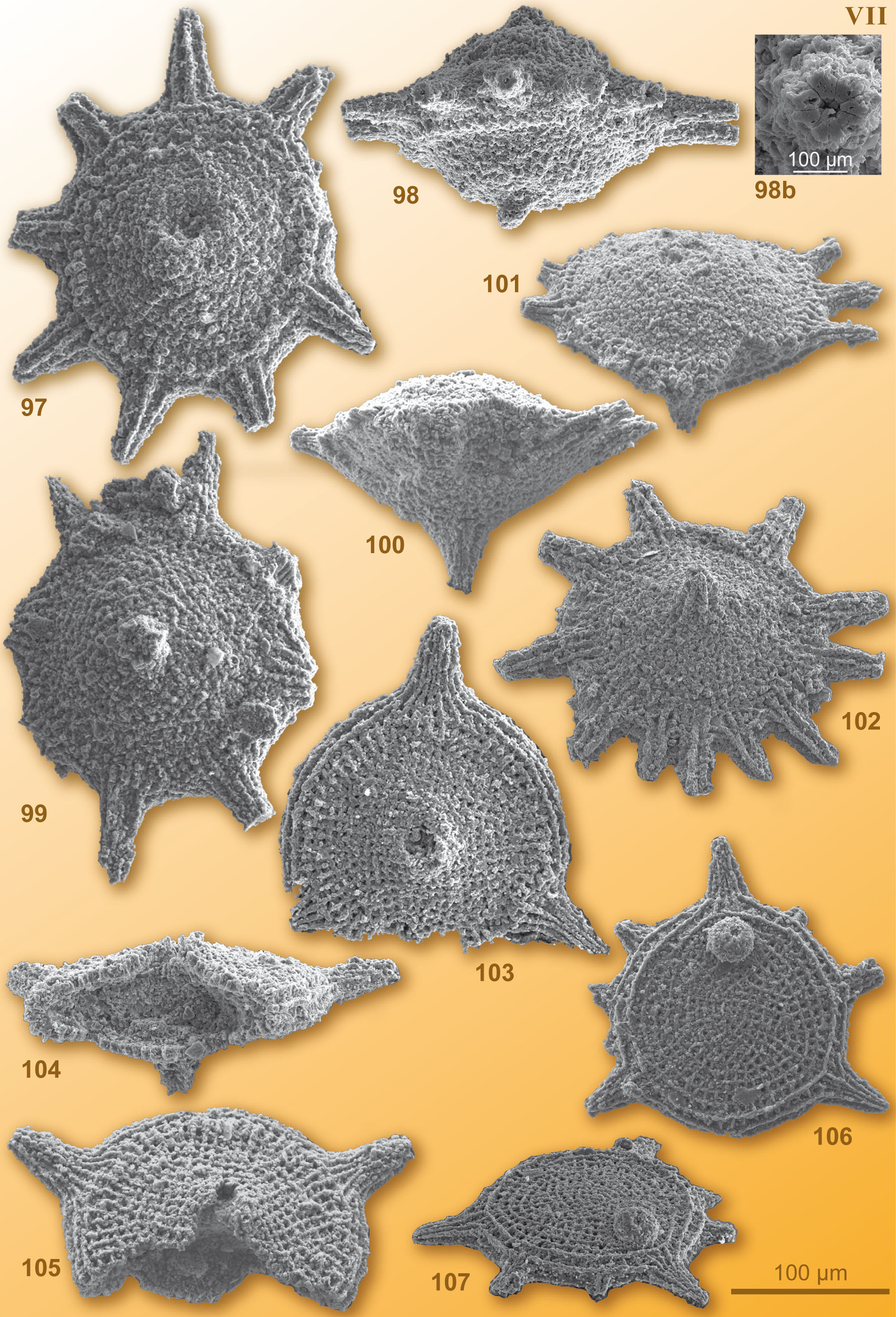 CG2008_M01_Plate_07C