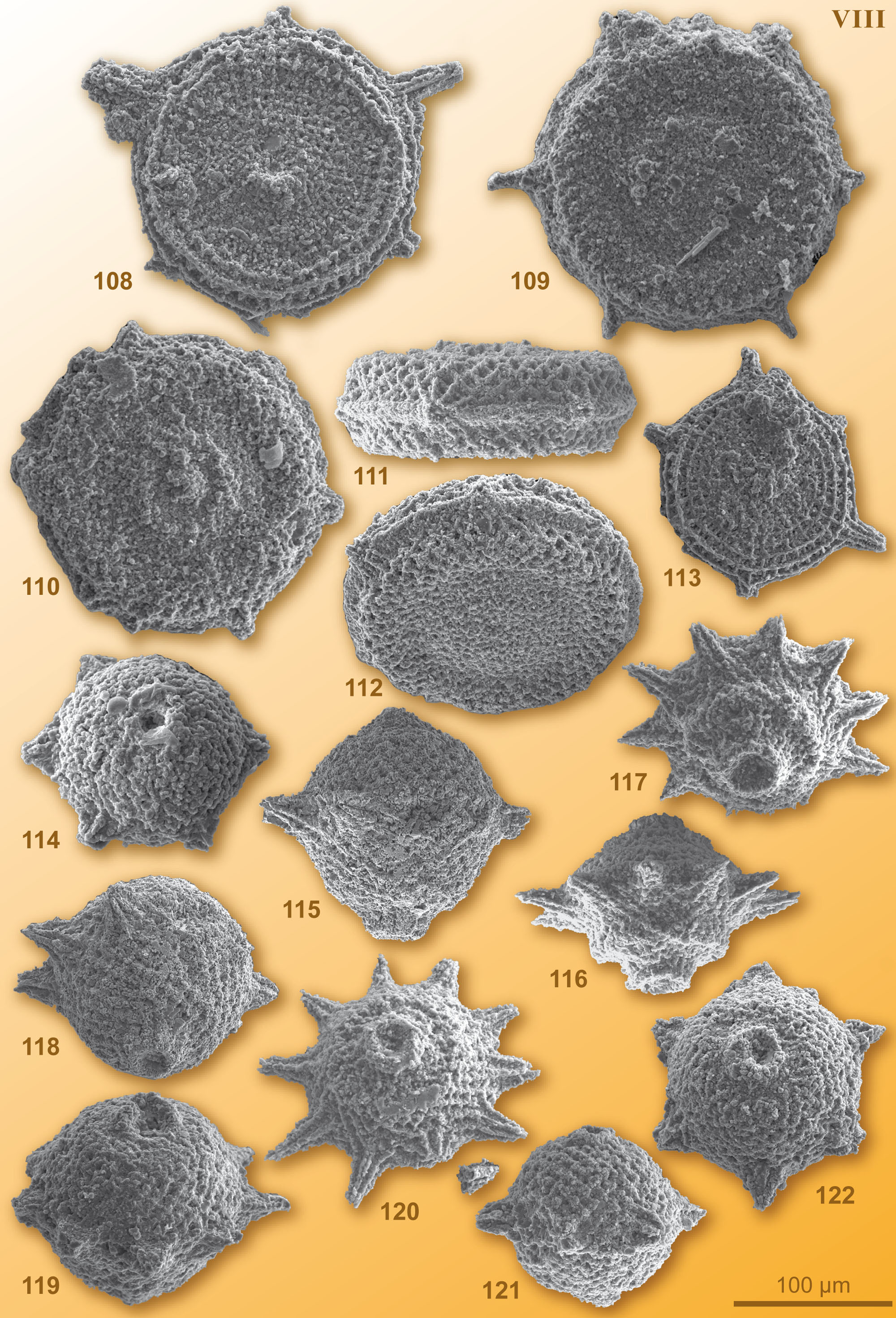 CG2008_M01_Plate_08C