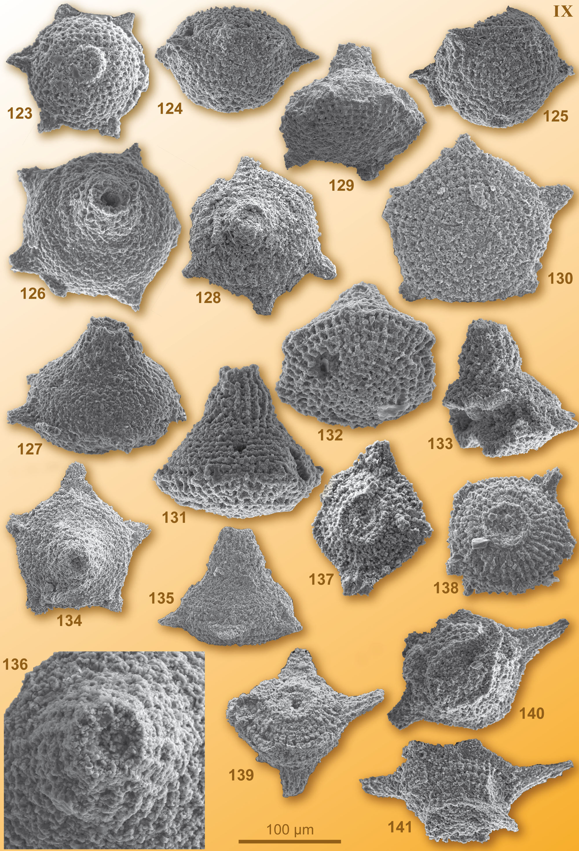 CG2008_M01_Plate_09C