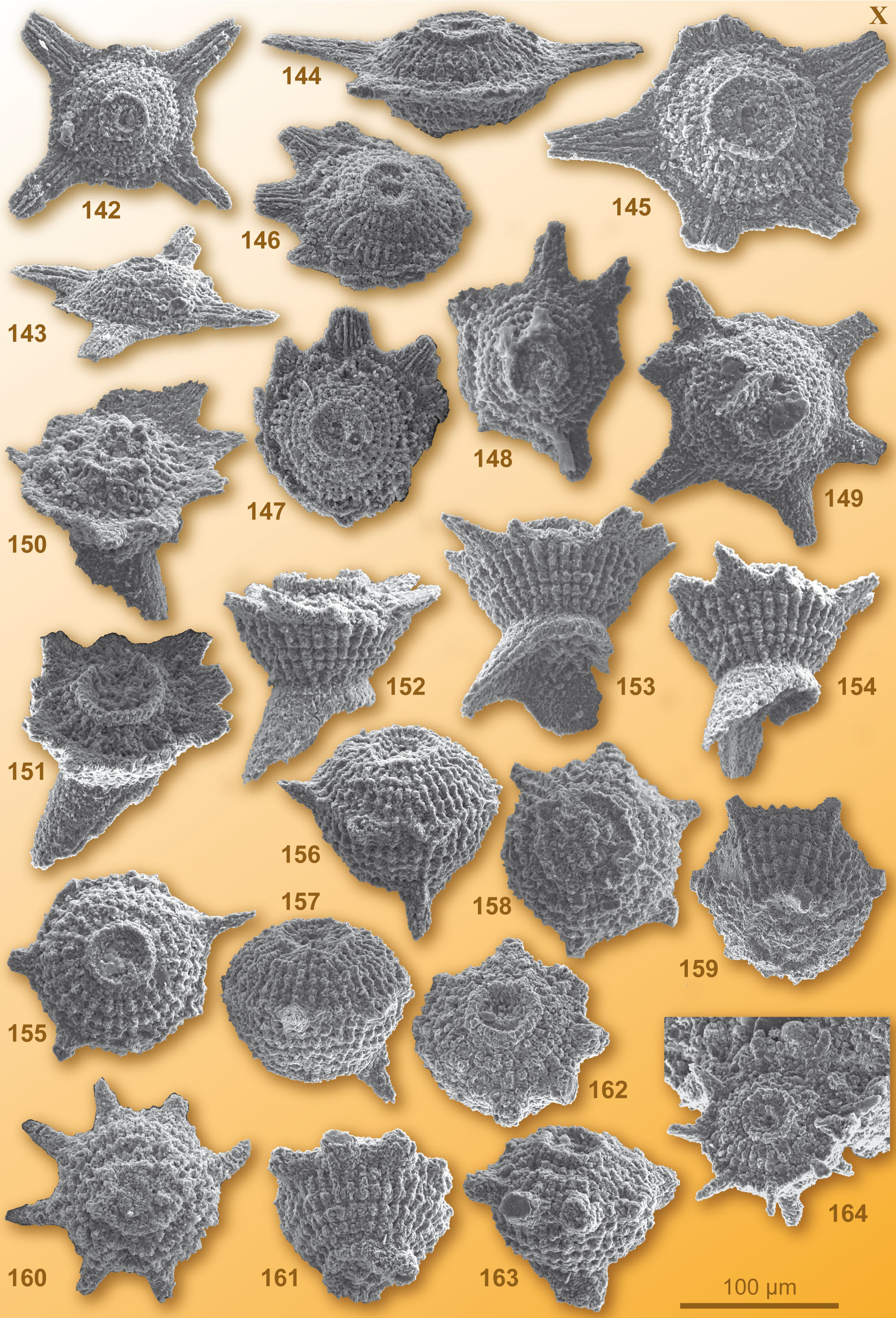 CG2008_M01_Plate_10C