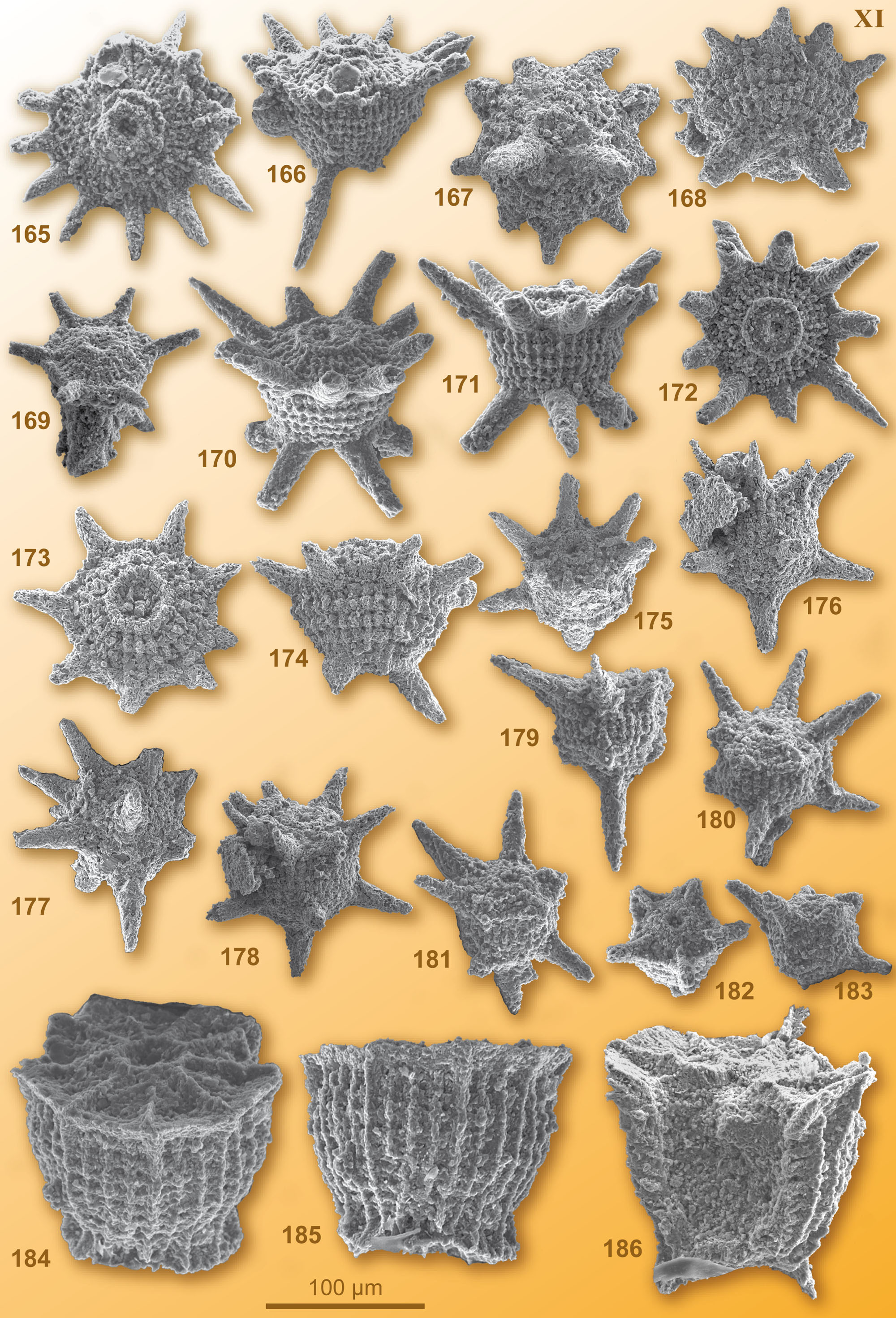 CG2008_M01_Plate_11C