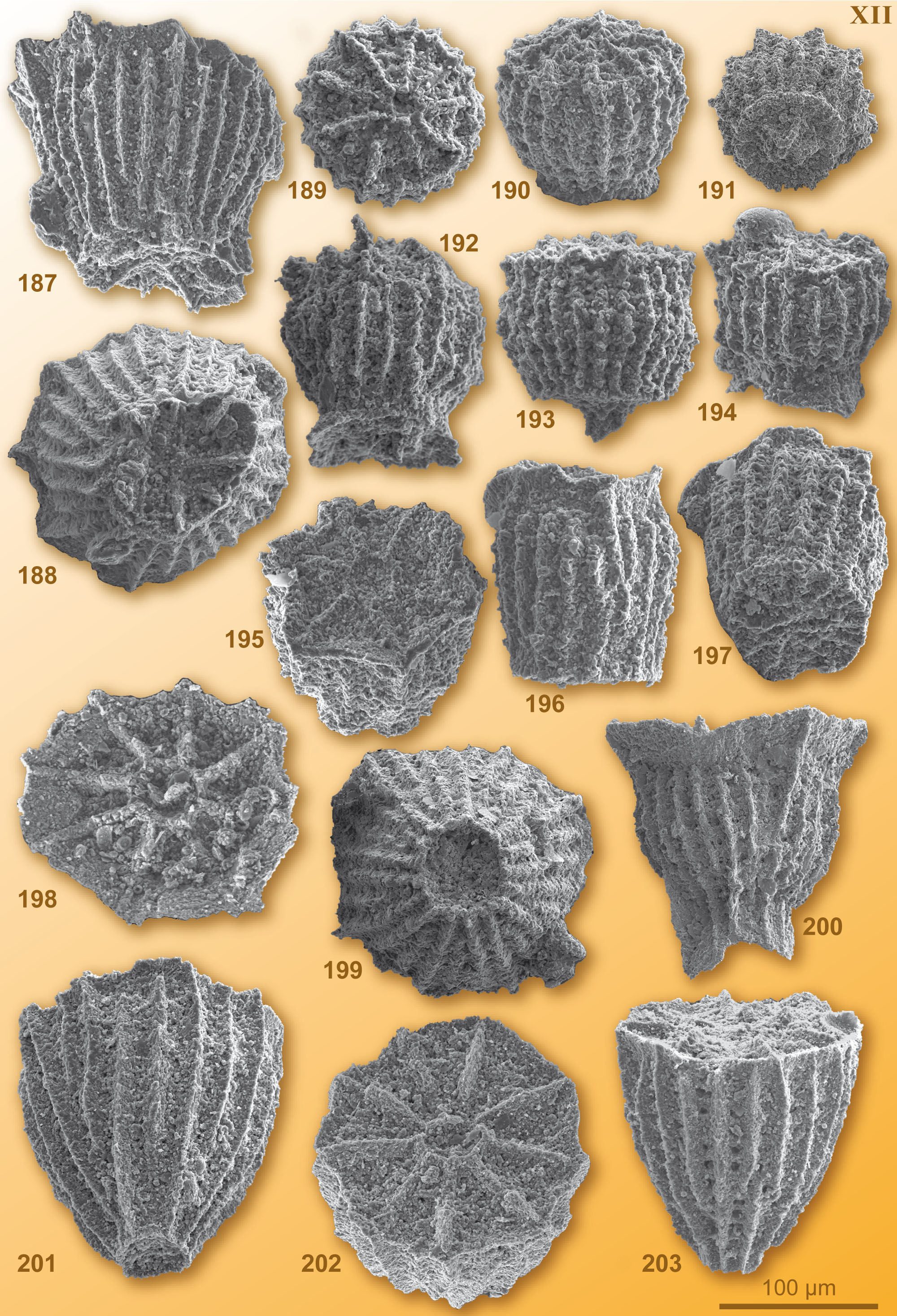 CG2008_M01_Plate_12C