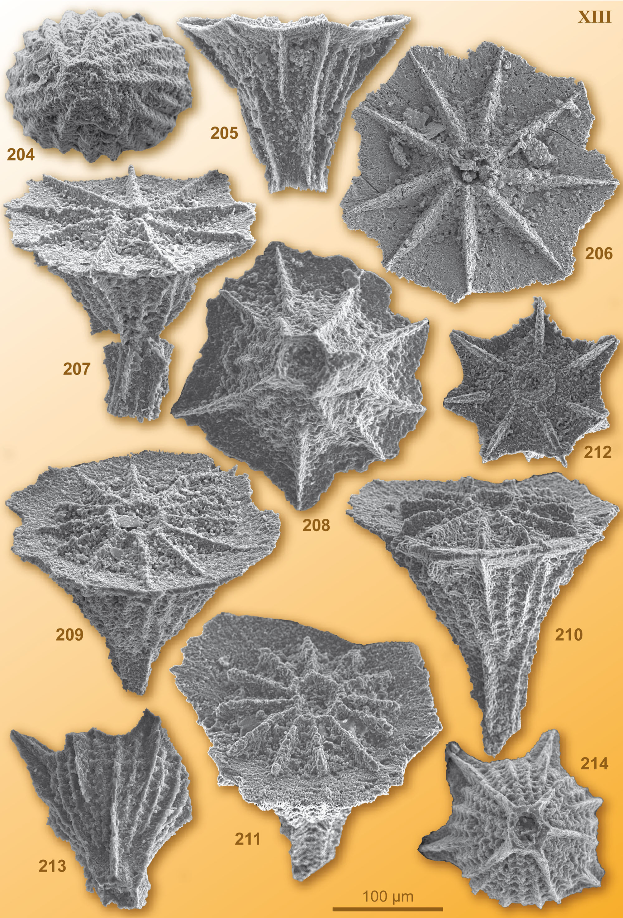 CG2008_M01_Plate_13C