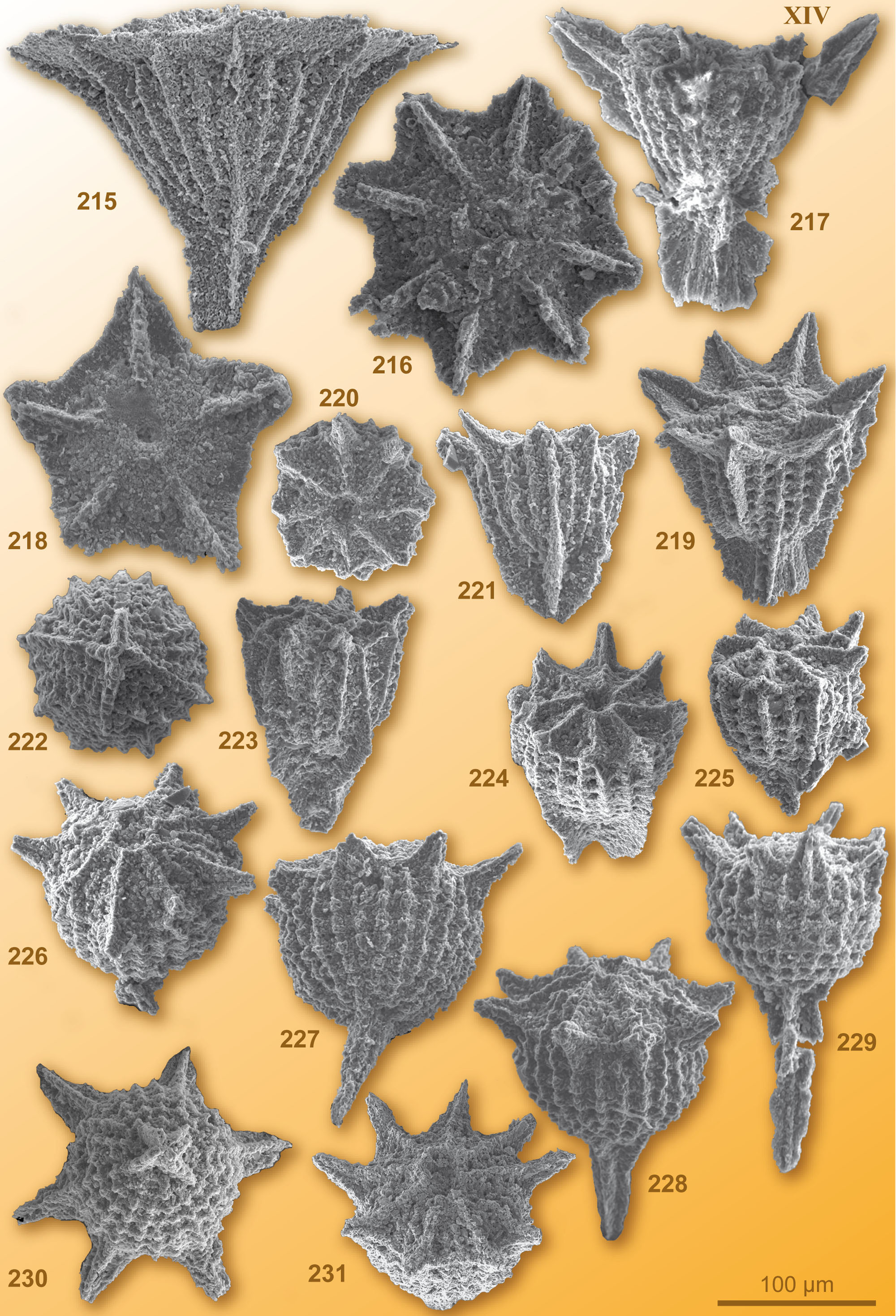 CG2008_M01_Plate_14C