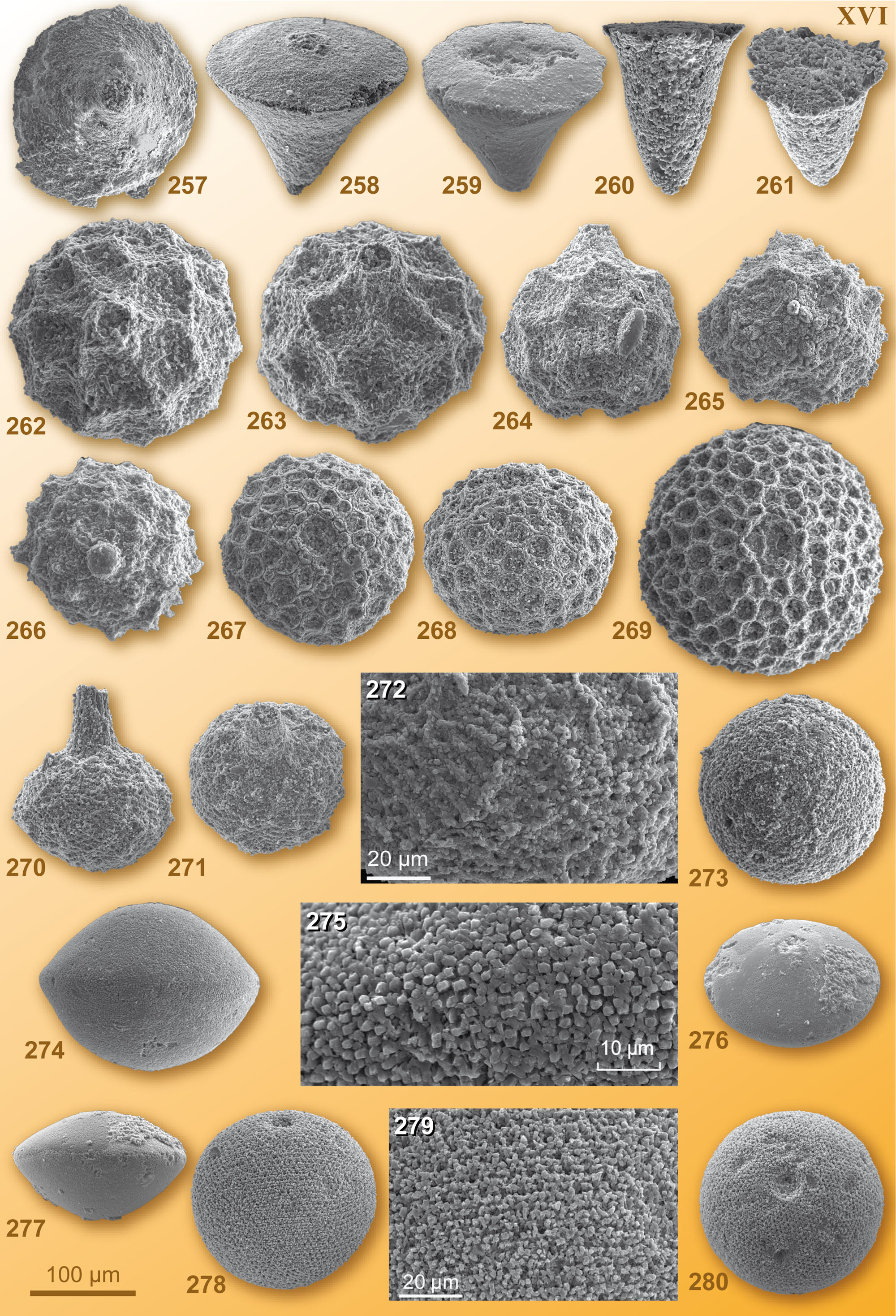 CG2008_M01_Plate_16C