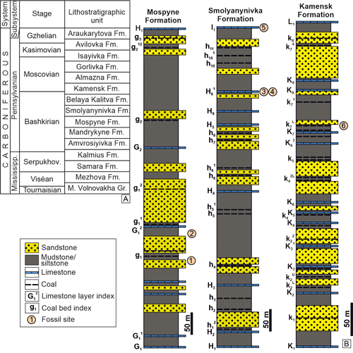 Fig. 2