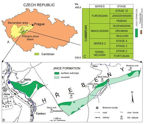 Fig. 1