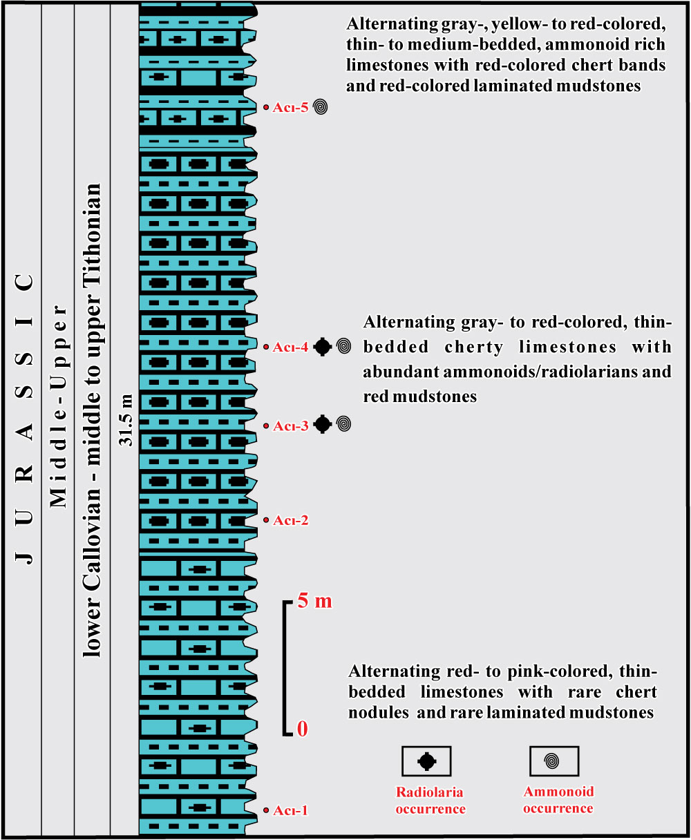 Fig. 12