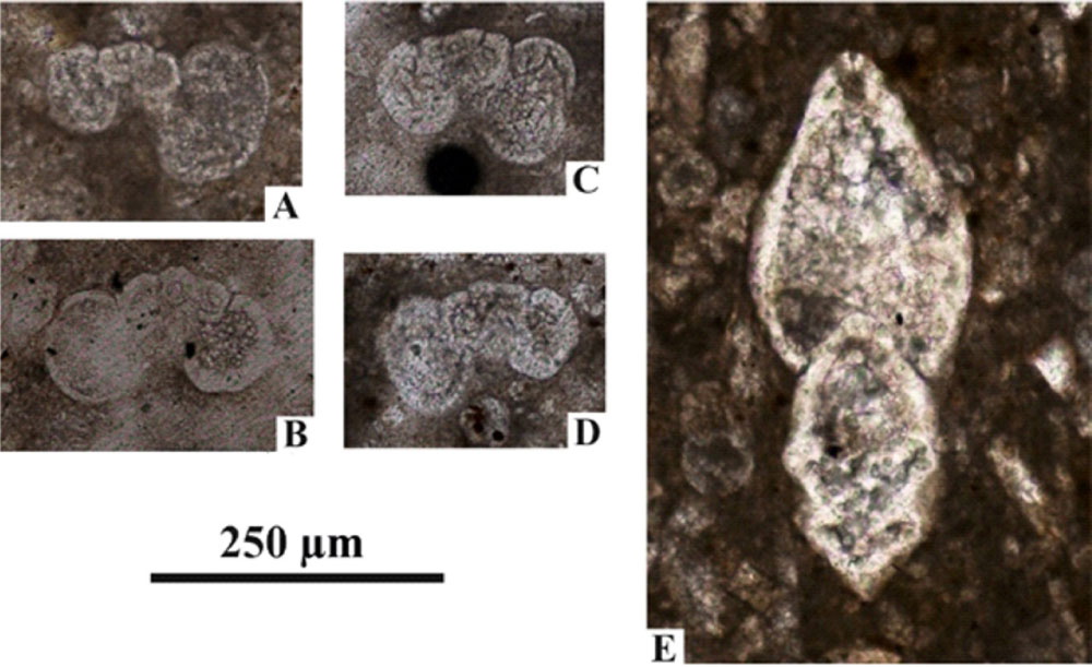 Fig. 18