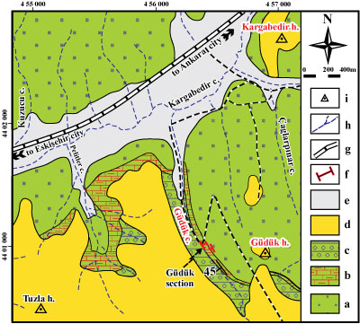 Fig. 7