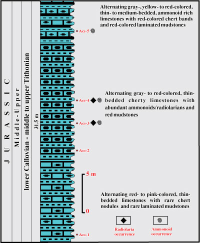 Fig. 12