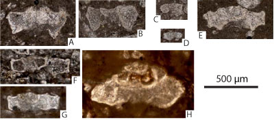 Fig. 20