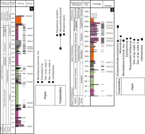 Fig. 3