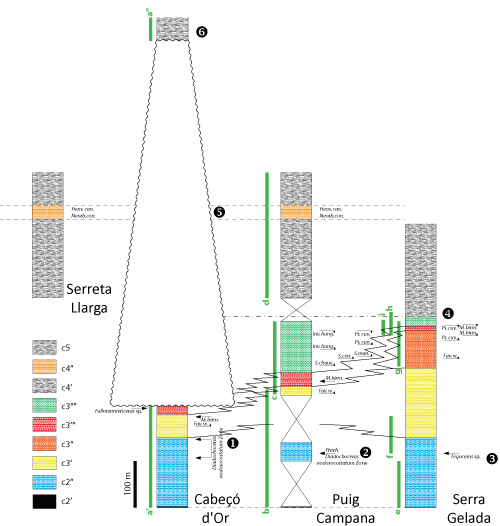 Fig. 8