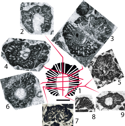 Fig. 3