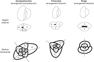 Cliquer sur la vignette pour agrandir l'image