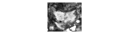 CG2013_B02_Fig_11