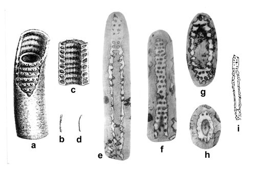 CG2013_B02_Fig_12