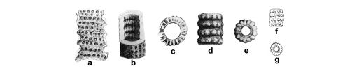 CG2013_B02_Fig_16