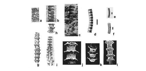 CG2013_B02_Fig_17