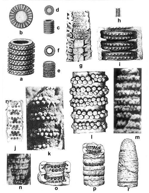 CG2013_B02_Fig_18