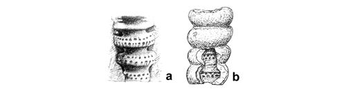 CG2013_B02_Fig_19