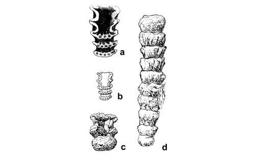 CG2013_B02_Fig_20