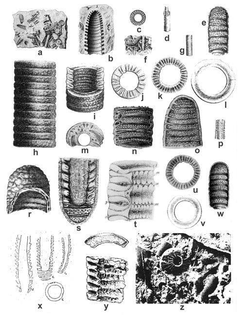 CG2013_B02_Fig_23