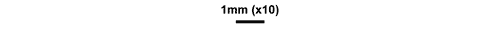 CG2013_B02_Fig_19