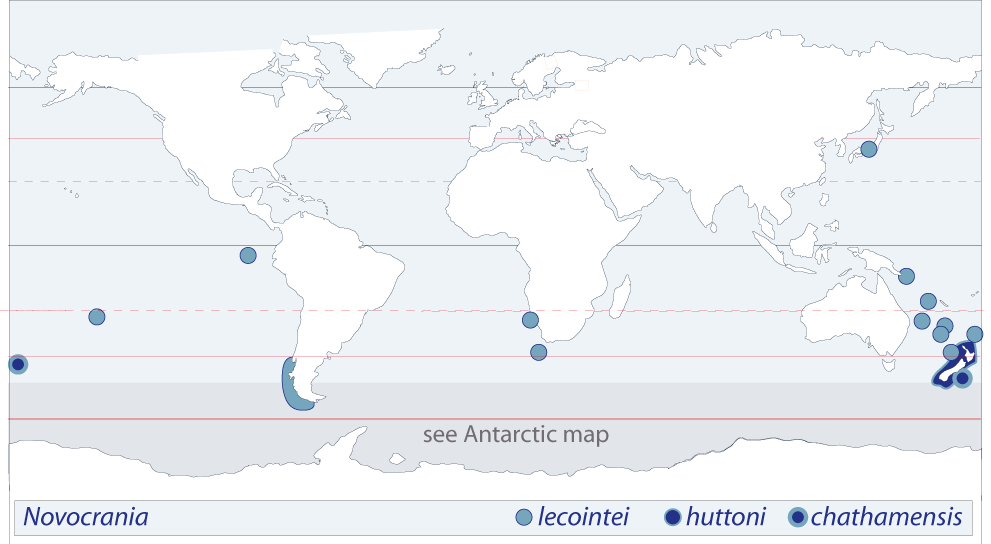 Liothyrella_map