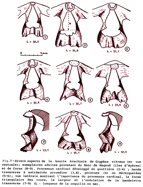 5_fig_5b