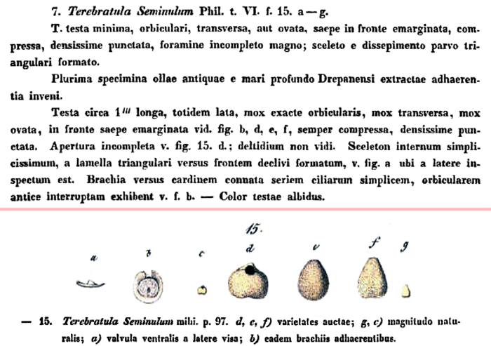 Fig C-1