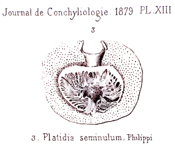 Fig C-4