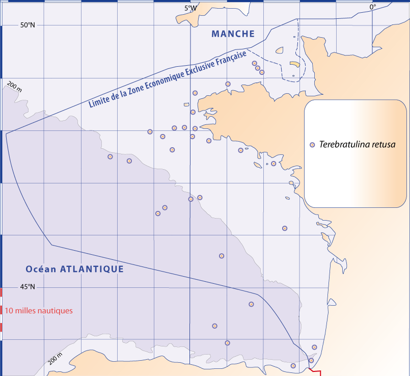 Atlantique2